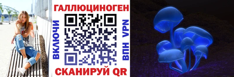 купить наркоту  Злынка  Галлюциногенные грибы прущие грибы 